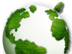 reliable web hosting